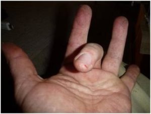 “The finest saw I had owned.”