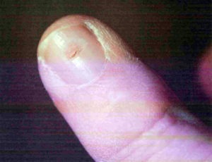 “This technology is revolutionary.”